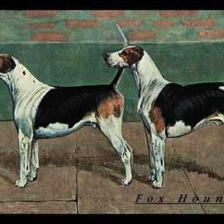 Two Fox Hounds