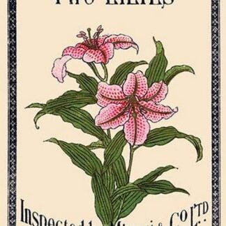 Two Lilies by Matsui