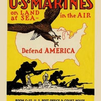 U.S. Marines Defend America