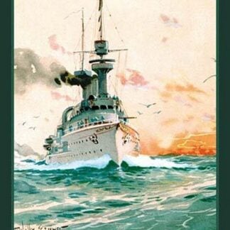 U.S. Navy: Determination by Willy Stower