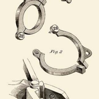 Unknown Use Numbered Collar