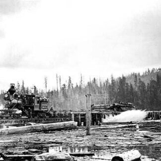 Unloading Logs by Darius Kinsey