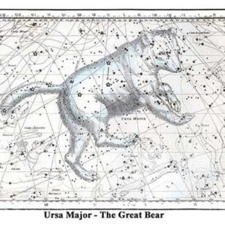 Ursa Major - The Great Bear by Alexander Jamieson