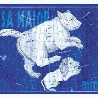Ursa Major and Leo Minor #3
