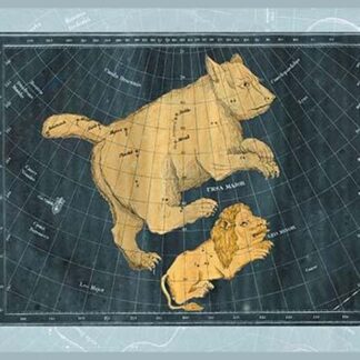 Ursa Major and Leo Minor