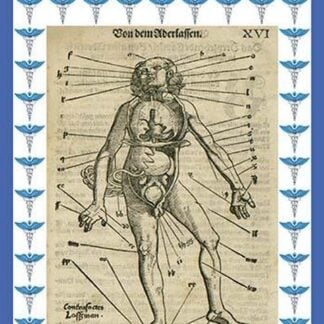 Vascular Surgery by Paracelsus