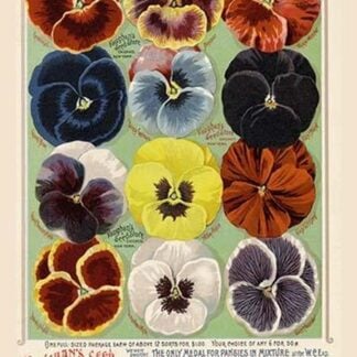 Vaughan's Seed Store - Pansies