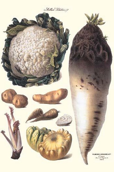 Vegetables: Califlower