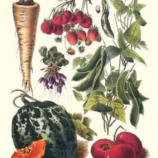 Vegetables; Strawberries
