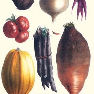 Vegetables; tomato