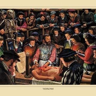 Vesallus by Robert Thom