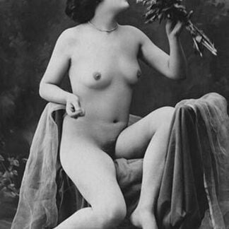 Victorian Nudes