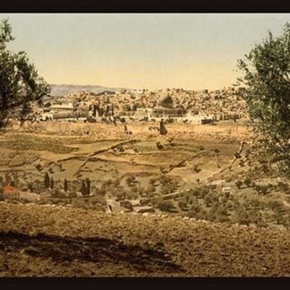 View from the Mount of Olives by Detroit Photographic Company