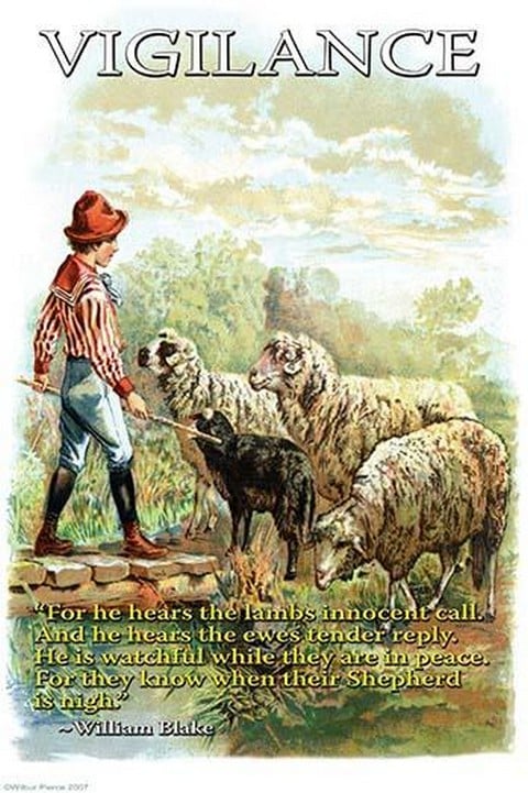 Vigilance by Wilbur Pierce