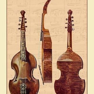 Viola D'Amore by Theodore Thomas