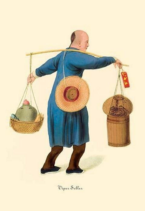 Viper Seller by George Henry Malon