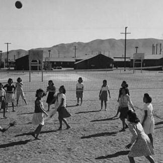 Vollyball by Ansel Adams