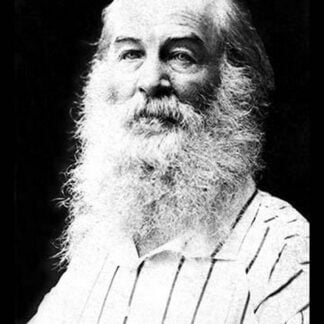 Walt Whitman by Matthew Brady