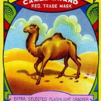 Wang Yick FireWorks Camel Brand