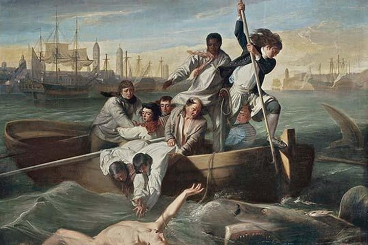 Watson & The Shark by John Singleton Copley