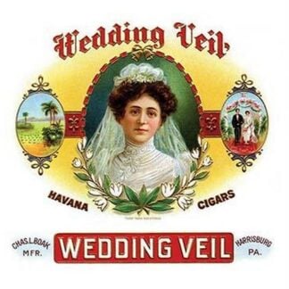Wedding Veil
