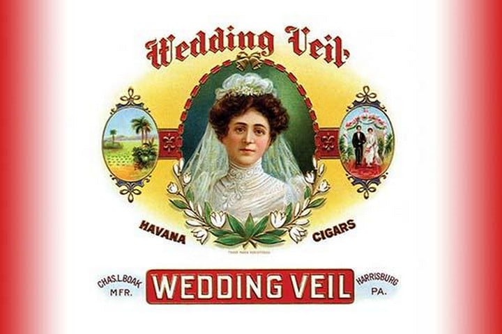 Wedding Veil