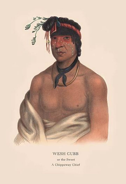Wesh Cut; A Chippewah Chief) by Mckenney & Hall