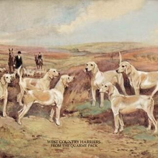 West Country Harriers by Thomas Ivester Lloyd