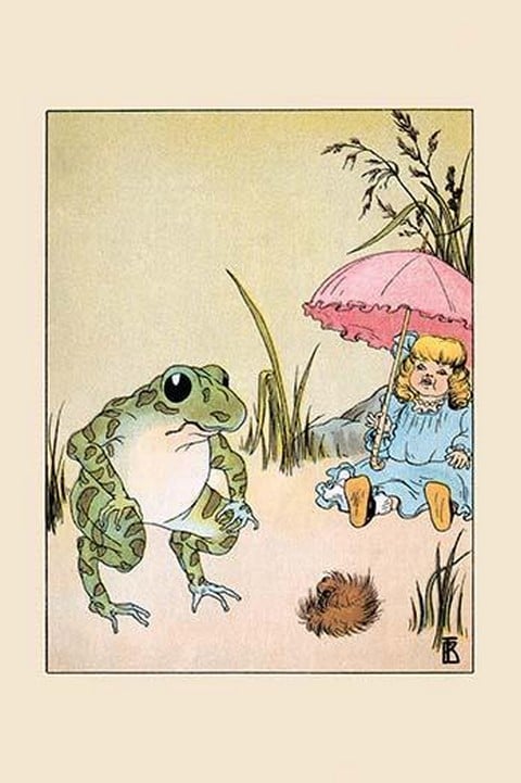 What Do I Do for a Parasol? by Frances Beem