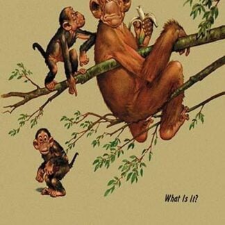 What Is It? by Lawson Wood