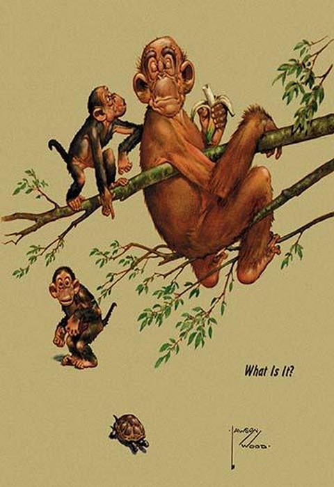 What Is It? by Lawson Wood