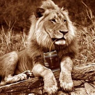 What good is it to be king? by Wilbur Pierce