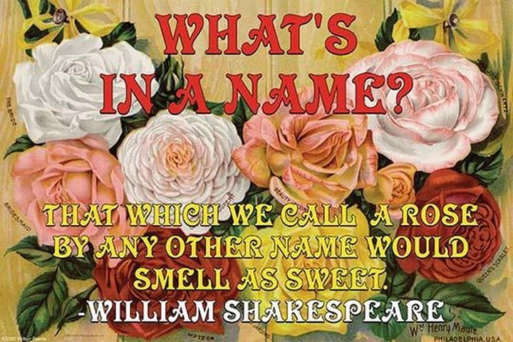 What's in a Name? by William Shakespeare