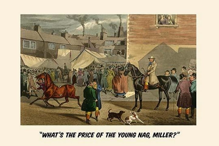What's the Price of the Young Nag