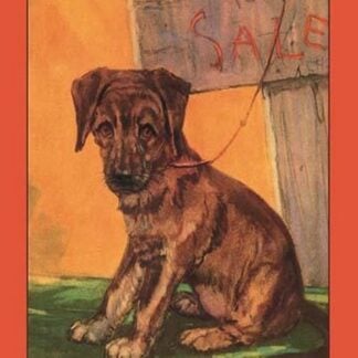 When Rags Ran Away by Diana Thorne