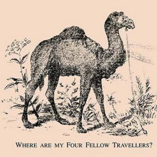 Where are my Four Fellow Travelers? by American Puzzle Co.