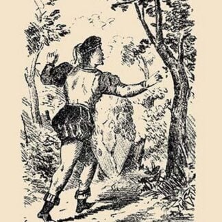 Where is my Charmer by American Puzzle Co.