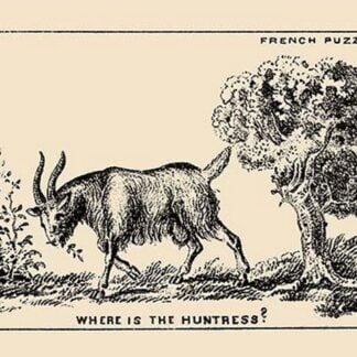 Where is the Huntress? by French Puzzle Card