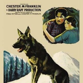 Where the North Begins #2