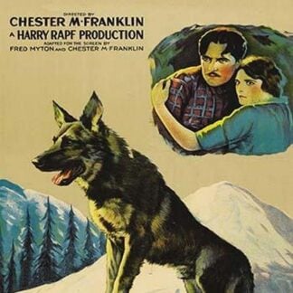 Where the North Begins