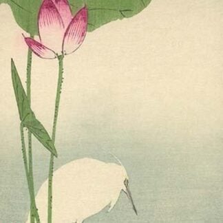 White Heron and Lotus by Baison