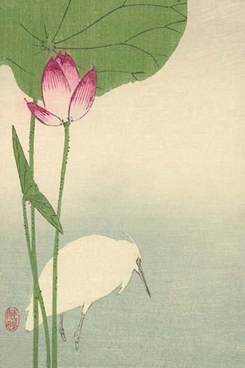 White Heron and Lotus by Baison