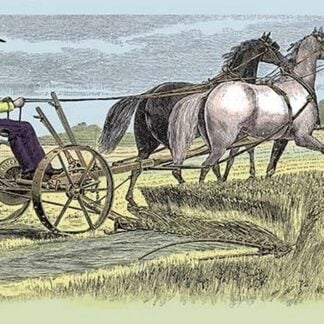 Wide Cutting Range of Buckeye Mower