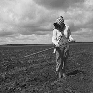 Wife of Texas Tenant Farmer by Dorothea Lange