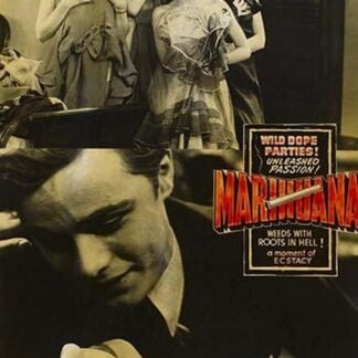 Wild Dope Parties! Marihuana