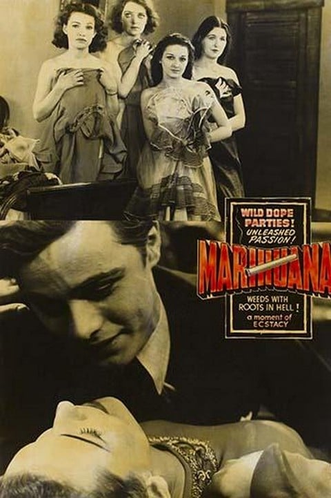 Wild Dope Parties! Marihuana