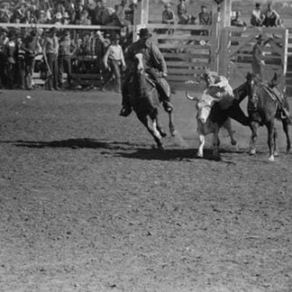 Wild Steer Wrestling by Russell Lee #2