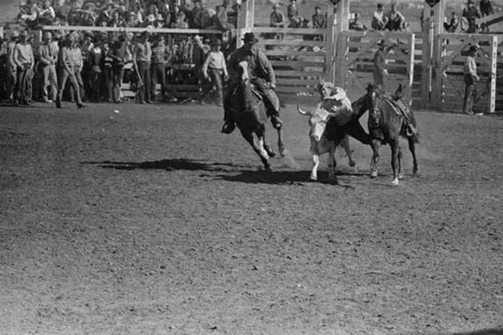 Wild Steer Wrestling by Russell Lee #2