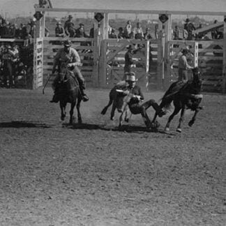 Wild Steer Wrestling by Russell Lee