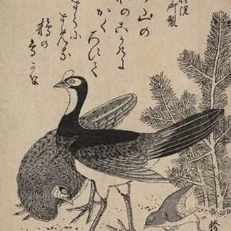 Wildfowl and pine by Katsukawa Shunsei